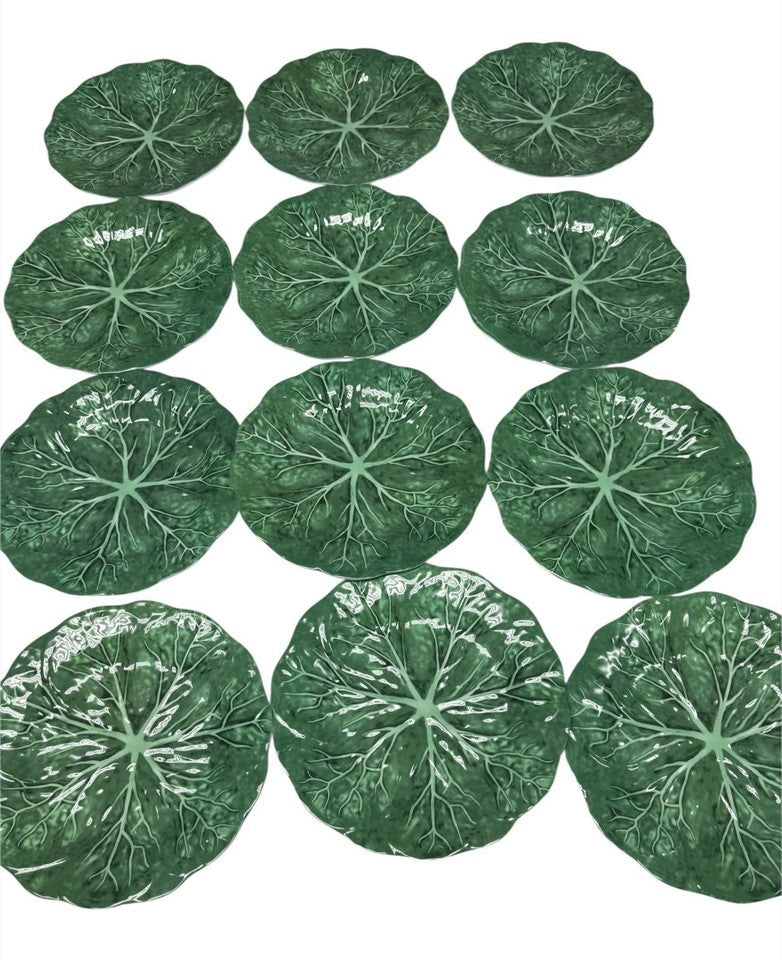 cabbage plates 8” inch set of 12 pcs new