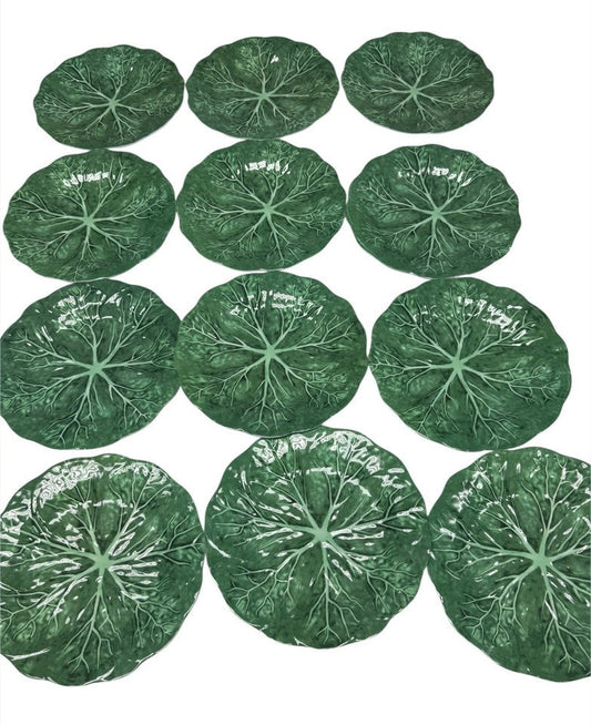 cabbage plates 8” inch set of 12 pcs new